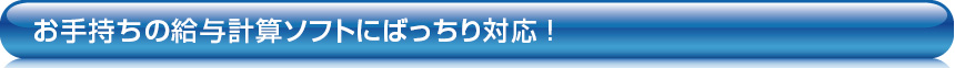 お手持ちの給与計算ソフトにばっちり対応！